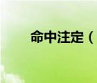 命中注定（说一说命中注定的简介）