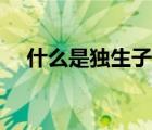 什么是独生子女状况（什么是独生子女）