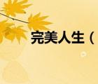 完美人生（说一说完美人生的简介）