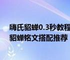 嗨氏貂蝉0.3秒教程（王者荣耀嗨氏貂蝉铭文怎么搭配嗨氏貂蝉铭文搭配推荐）