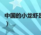 中国的小龙虾是怎么来的（中国的小龙虾来源）