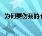 为何要伤我的心完整版（为何要伤我的心）