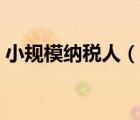 小规模纳税人（说一说小规模纳税人的简介）