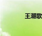 王潮歌原名（王潮歌简介）