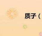 质子（说一说质子的简介）