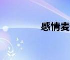感情麦词大全（感情麦词）