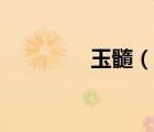 玉髓（说一说玉髓的简介）