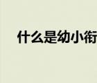 什么是幼小衔接教育（什么是幼小衔接）