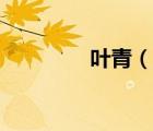 叶青（说一说叶青的简介）
