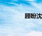 顾盼沈慕彦的小说（顾盼）