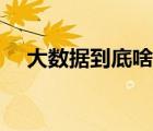 大数据到底啥意思（大数据是什么概念）