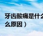 牙齿酸痛是什么原因引起的呢（牙齿酸痛是什么原因）