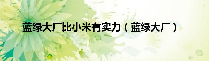 蓝绿大厂比小米有实力（蓝绿大厂）