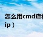 怎么用cmd查看网速多少K（怎么用cmd查看ip）