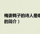 梅妻鹤子的诗人是哪一位（说一说梅妻鹤子的诗人是哪一位的简介）