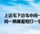 上边毛下边毛中间一个黑葡萄是什么生肖（上边毛下边毛中间一颗黑葡萄打一字）