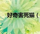 好奇害死猫（说一说好奇害死猫的简介）