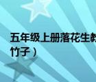 五年级上册落花生教学设计（五年级上册语文落花生小练笔竹子）