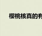 樱桃核真的有毒吗?（樱桃核是否有毒）