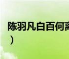 陈羽凡白百何离婚原因（陈羽凡白百何结婚照）