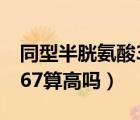 同型半胱氨酸36.8怎么办（同型半胱氨酸36.67算高吗）