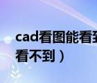 cad看图能看到（cad快速看图能看到cad里看不到）