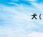 犬（说一说犬的简介）