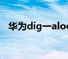 华为dig一aloo（华为dig al00什么型号）