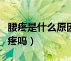 腰疼是什么原因引起的（输尿管结石会引起腰疼吗）
