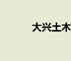 大兴土木和大基建（大兴土木）