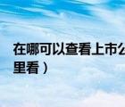 在哪可以查看上市公司的财务报表（上市公司财务报表在哪里看）