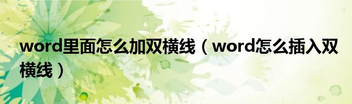 word里面怎么加双横线（word怎么插入双横线）