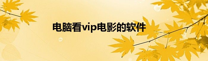 电脑看vip电影的软件