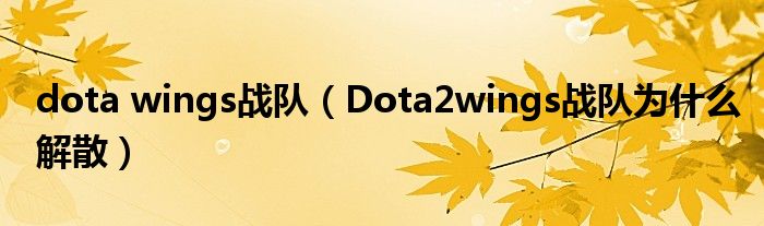 dota wings战队（Dota2wings战队为什么解散）