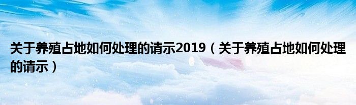 关于养殖占地如何处理的请示2019（关于养殖占地如何处理的请示）