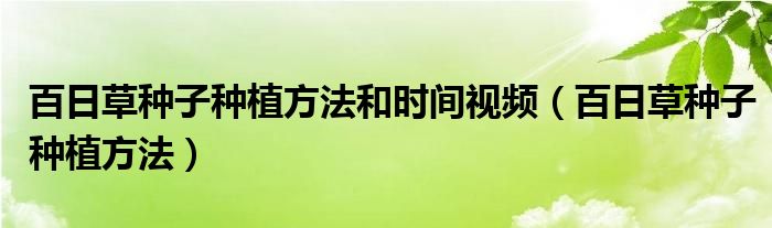百日草种子种植方法和时间视频（百日草种子种植方法）