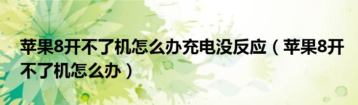 苹果8开不了机怎么办充电没反应（苹果8开不了机怎么办）