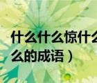 什么什么惊什么的成语有哪些（什么什么惊什么的成语）