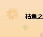 枯鱼之肆歌词（枯鱼之肆）