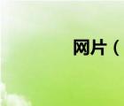 网片（说一说网片的简介）