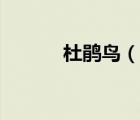 杜鹃鸟（说一说杜鹃鸟的简介）