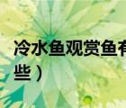 冷水鱼观赏鱼有哪些品种（冷水鱼观赏鱼有哪些）
