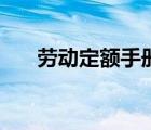 劳动定额手册（劳动定额是什么意思）