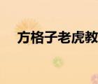 方格子老虎教案反思（方格子老虎教案）