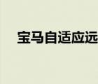 宝马自适应远近光灯（自适应远近光灯）