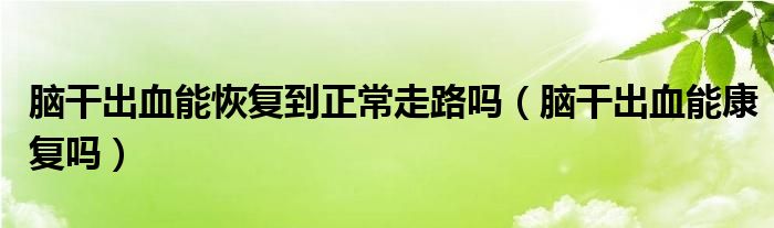 脑干出血能恢复到正常走路吗（脑干出血能康复吗）