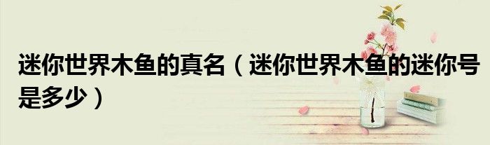 迷你世界木鱼的真名（迷你世界木鱼的迷你号是多少）
