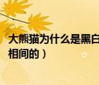 大熊猫为什么是黑白相间的?一个传说（大熊猫为什么是黑白相间的）