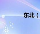 东北（说一说东北的简介）
