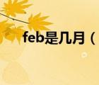feb是几月（说一说feb是几月的简介）